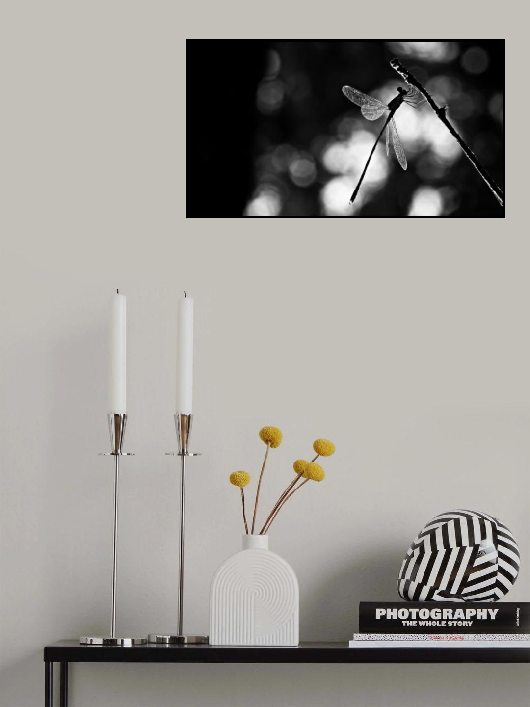 Dragonfly by light Poster och Canvastavla