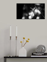 Dragonfly by light Poster och Canvastavla