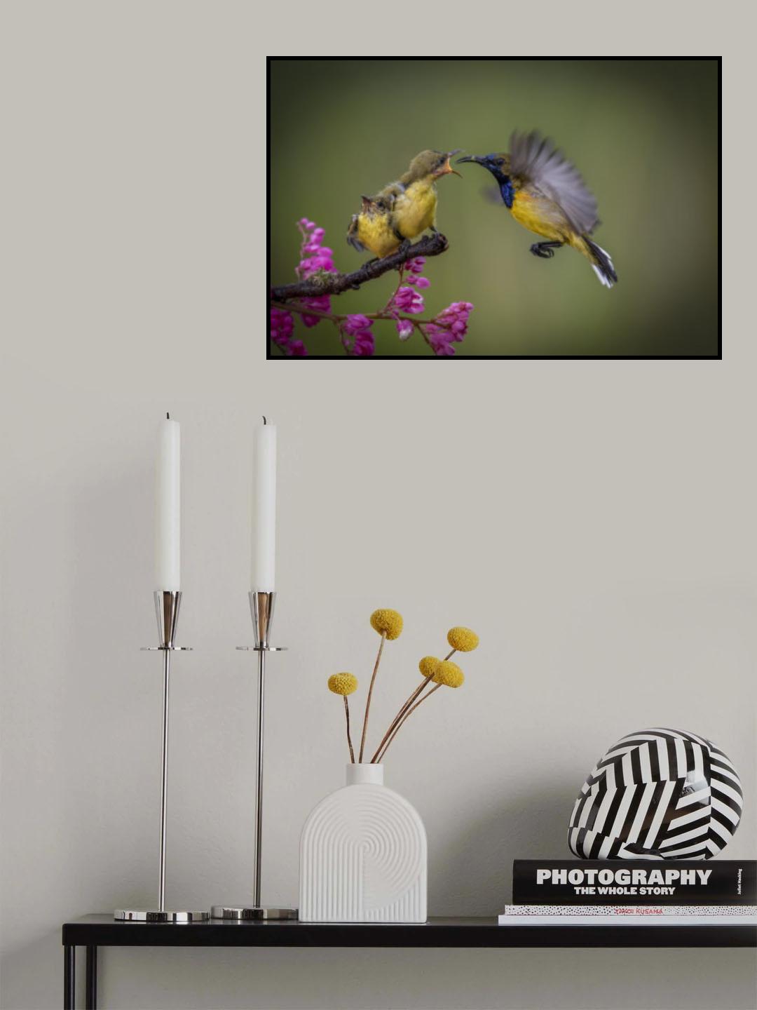 feeding Poster och Canvastavla
