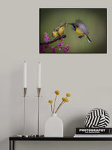 feeding Poster och Canvastavla