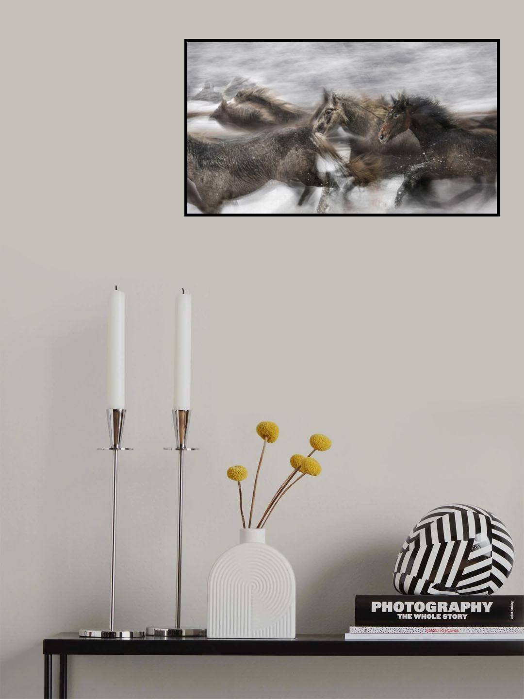 joy in the snow Poster och Canvastavla