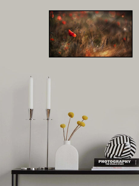 Poppy Poster och Canvastavla