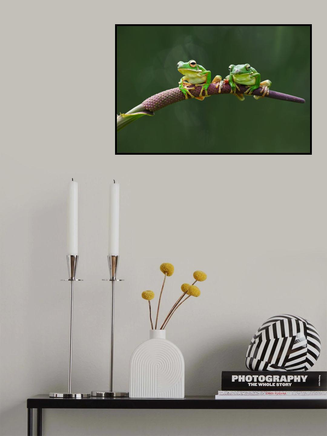 Two Green Frog Poster och Canvastavla