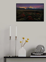 Spring in Torres del Paine Poster och Canvastavla
