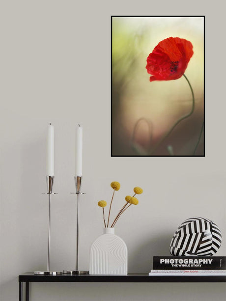 Poster och Canvastavla