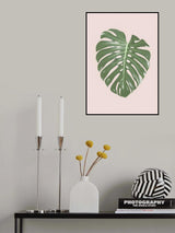 Monstera Leaf Blush Poster och Canvastavla