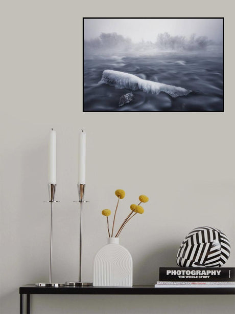 Frozen trunk Poster och Canvastavla
