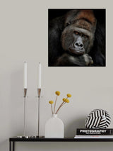 ONE MOMENT IN CONTACT Poster och Canvastavla
