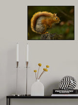 Do not move Poster och Canvastavla