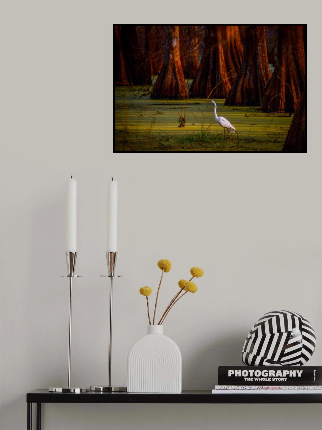 Looking For Breakfast Poster och Canvastavla