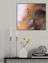 The lightness of the butterfly... Poster och Canvastavla