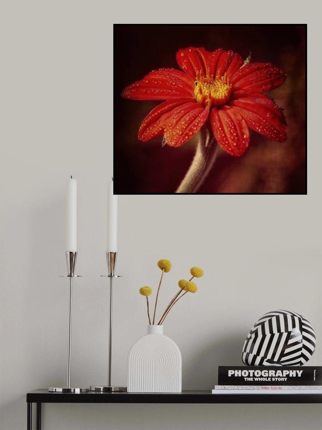 after rain Poster och Canvastavla