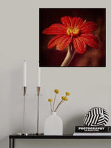 after rain Poster och Canvastavla