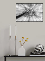 Spring foggy views Poster och Canvastavla