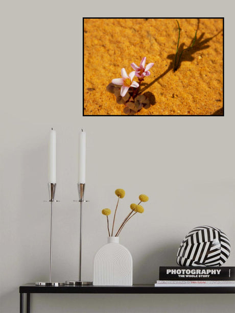 Desert Flower Poster och Canvastavla