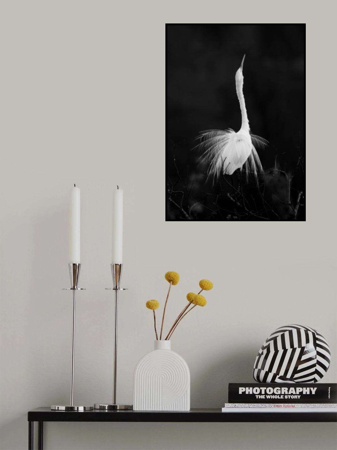 Spreading Feather Poster och Canvastavla