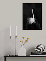 Spreading Feather Poster och Canvastavla