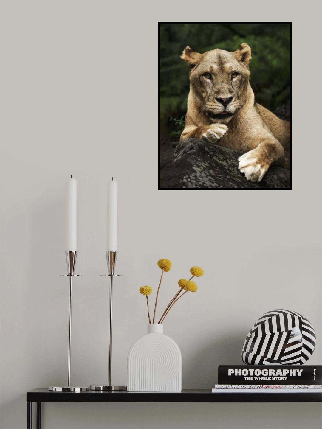 Relax Poster och Canvastavla