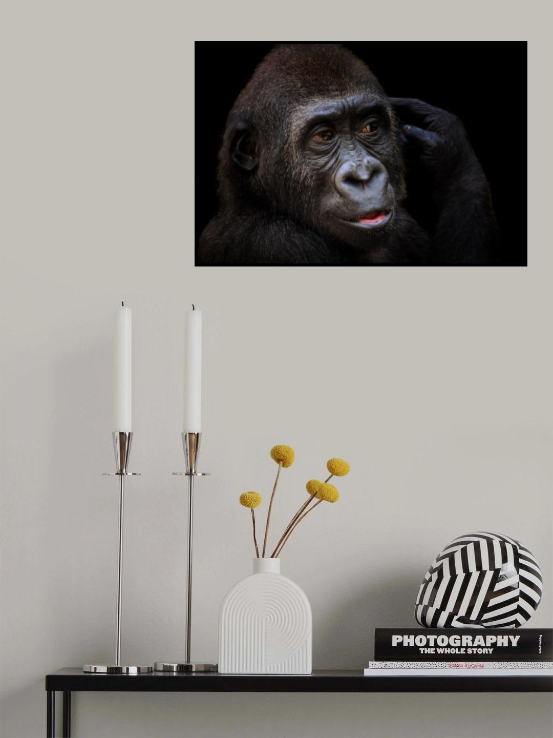 Young gorilla Poster och Canvastavla