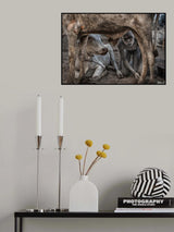 Mundari boy colleting dung - South Sudan Poster och Canvastavla