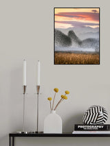 Murmuration Poster och Canvastavla