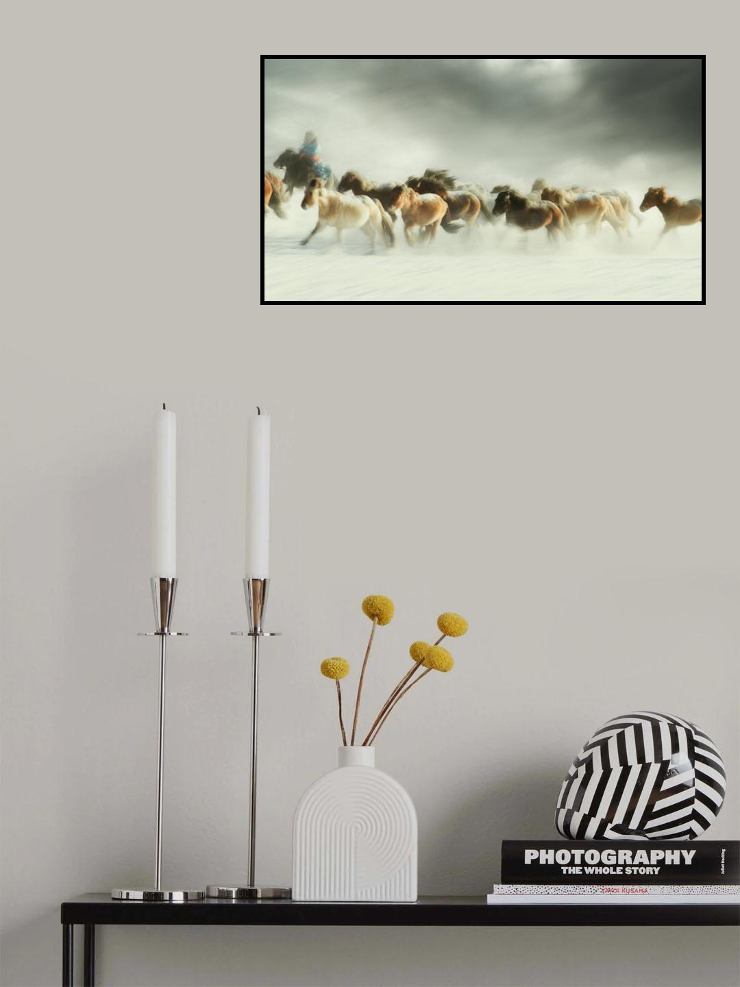 Horses gallop Poster och Canvastavla
