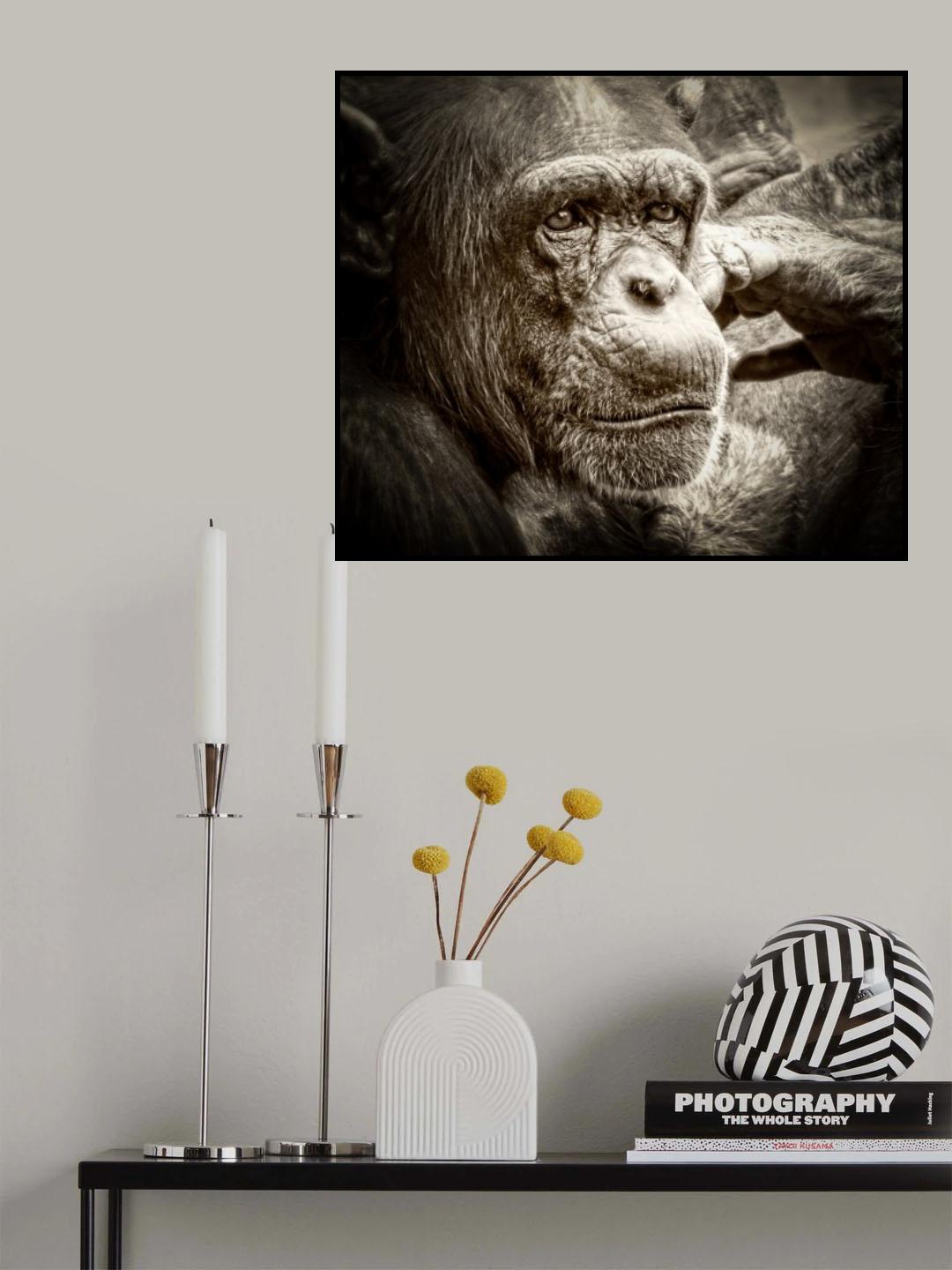 Pensive Poster och Canvastavla