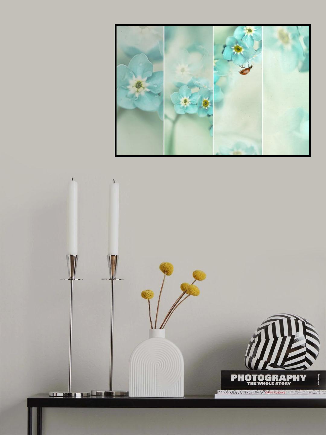 Forget me not..... Poster och Canvastavla