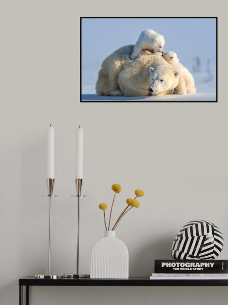 Two cute cubs Poster och Canvastavla