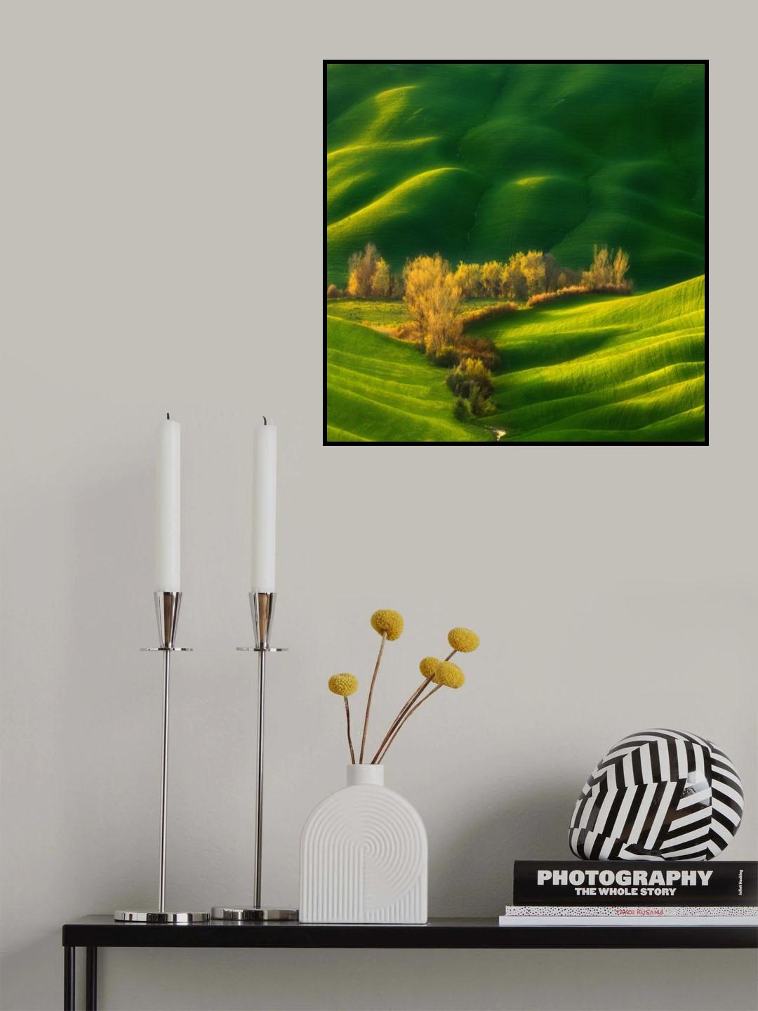 Spring on fields... Poster och Canvastavla
