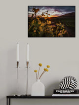 Vineyards Poster och Canvastavla