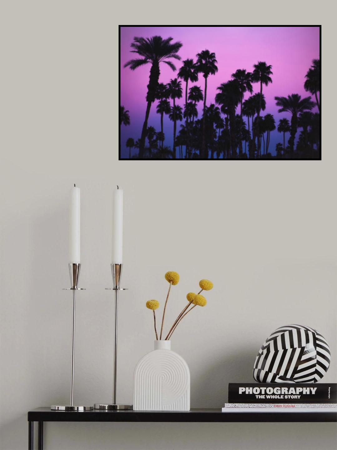 Palms with Pink Sky Poster och Canvastavla