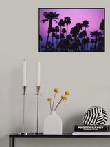 Palms with Pink Sky Poster och Canvastavla