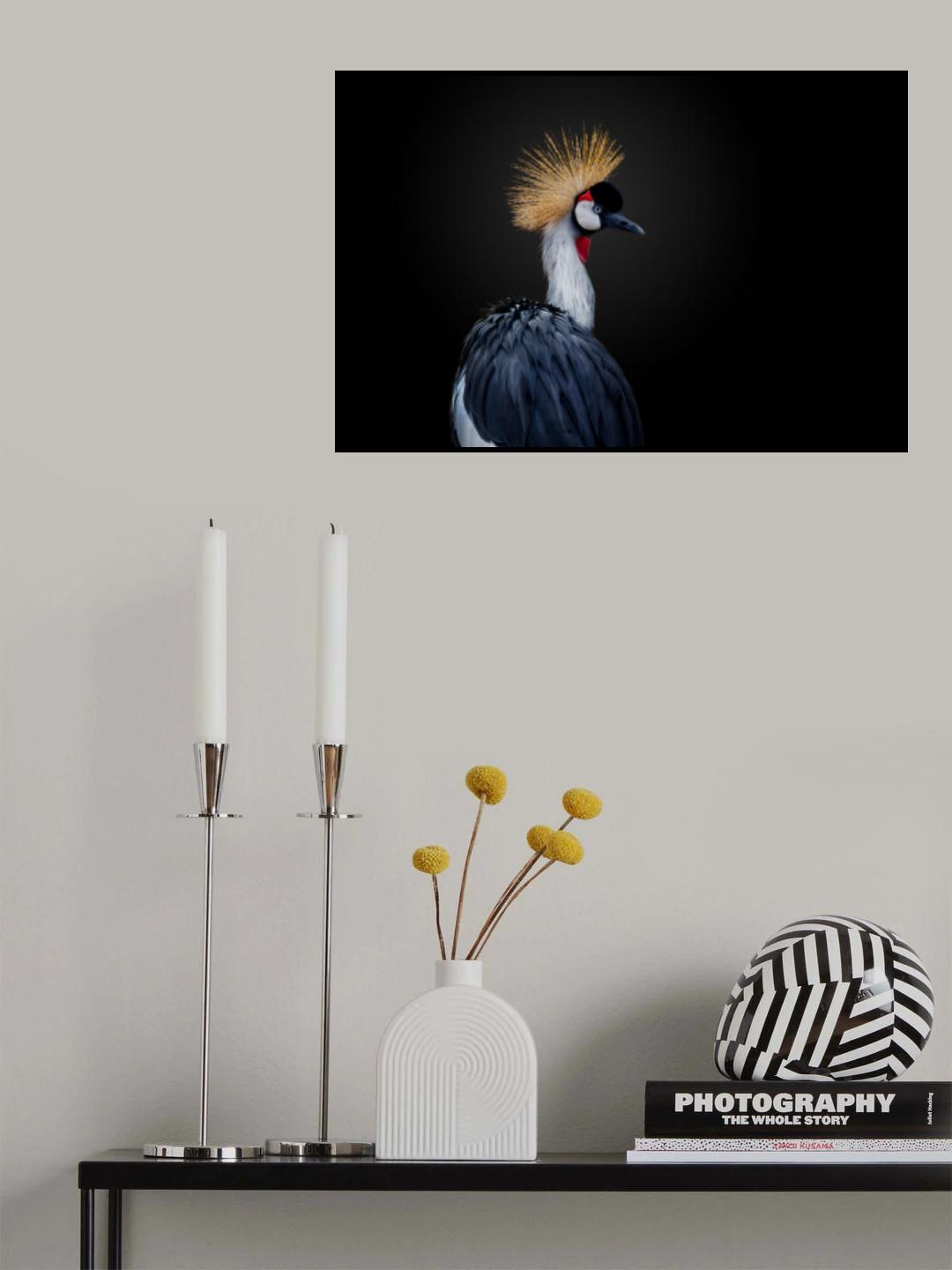 Single lady Poster och Canvastavla