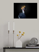 Single lady Poster och Canvastavla