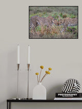 All we need is love Poster och Canvastavla