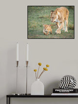 Monitoring on his first hunt Poster och Canvastavla