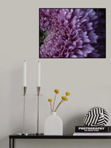 beautiful pink flower Poster och Canvastavla