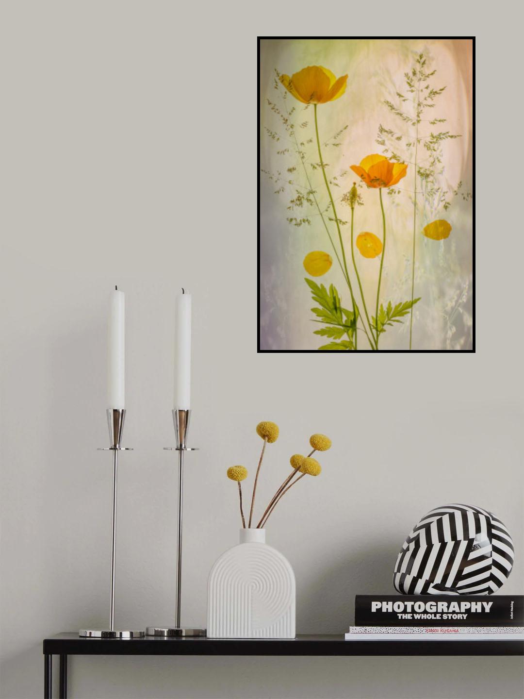 fragile Poster och Canvastavla