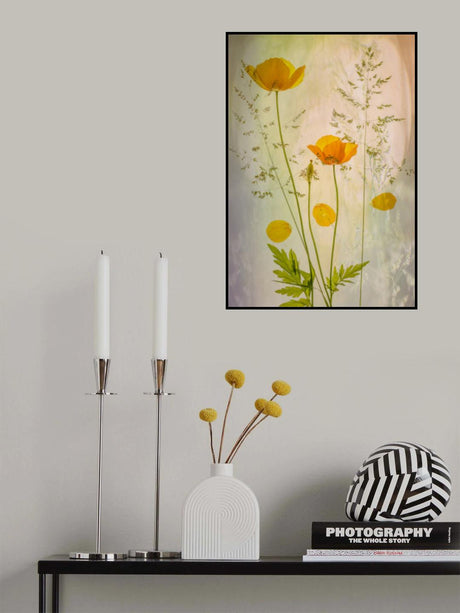 fragile Poster och Canvastavla