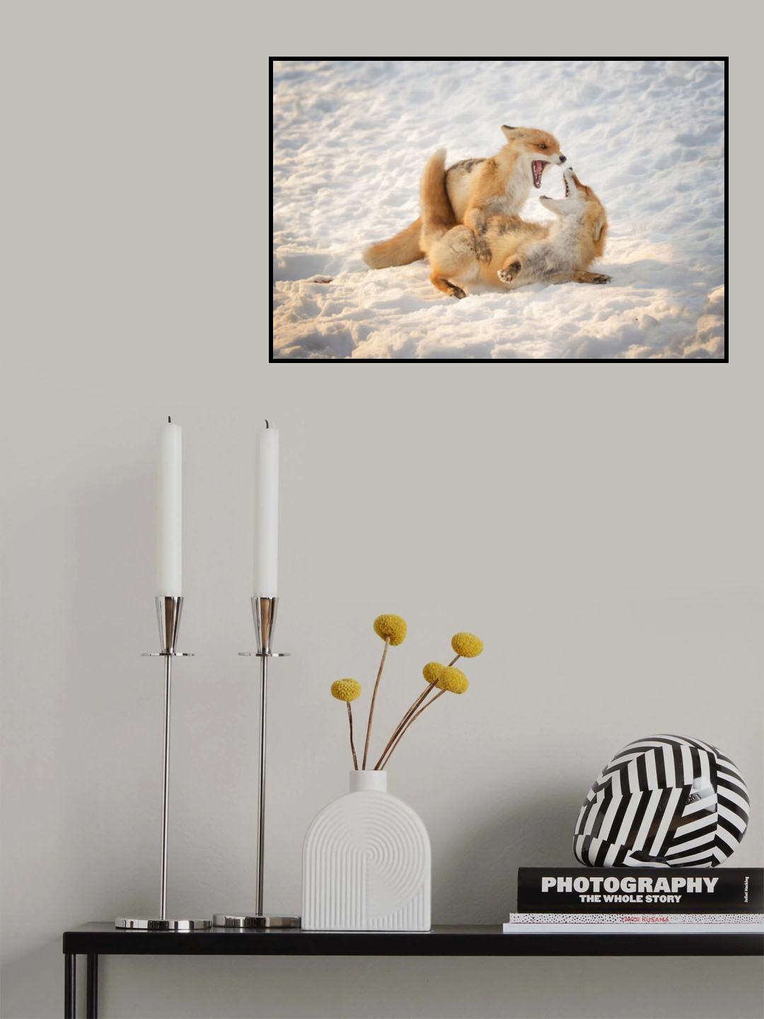 Fights Poster och Canvastavla