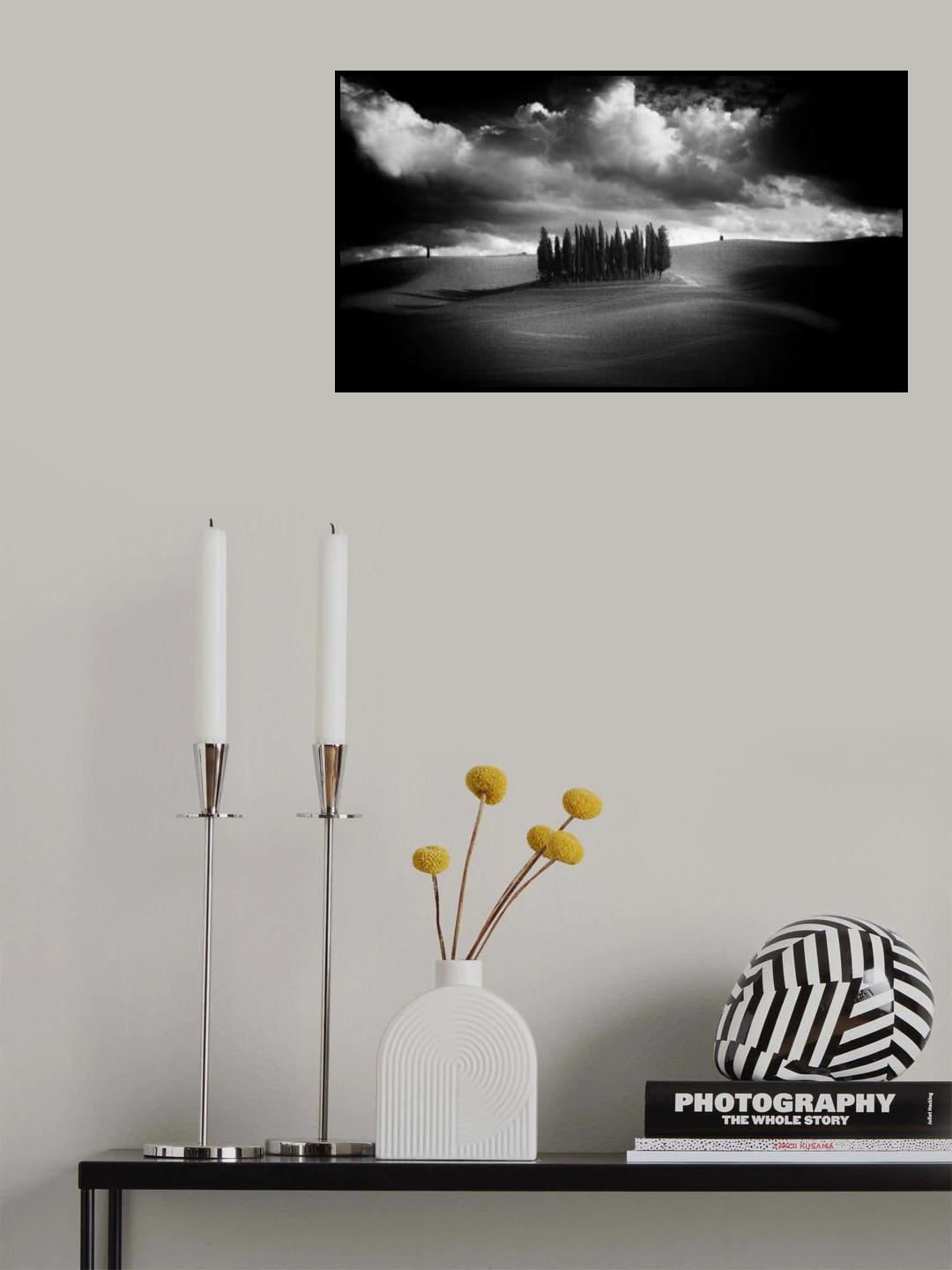 The cypresses Poster och Canvastavla