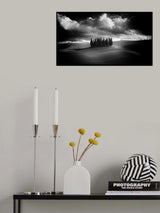 The cypresses Poster och Canvastavla
