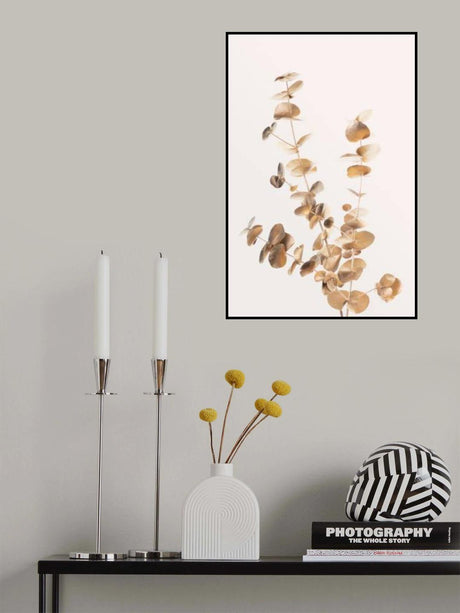 Eucalyptus Gold No 04 Poster och Canvastavla