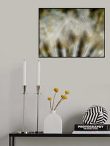 Fireworks nature... Poster och Canvastavla
