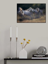 horses running Poster och Canvastavla