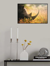Fading Away Poster och Canvastavla