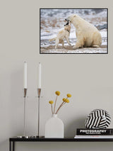 Interactions Poster och Canvastavla