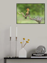 Bird and me Poster och Canvastavla