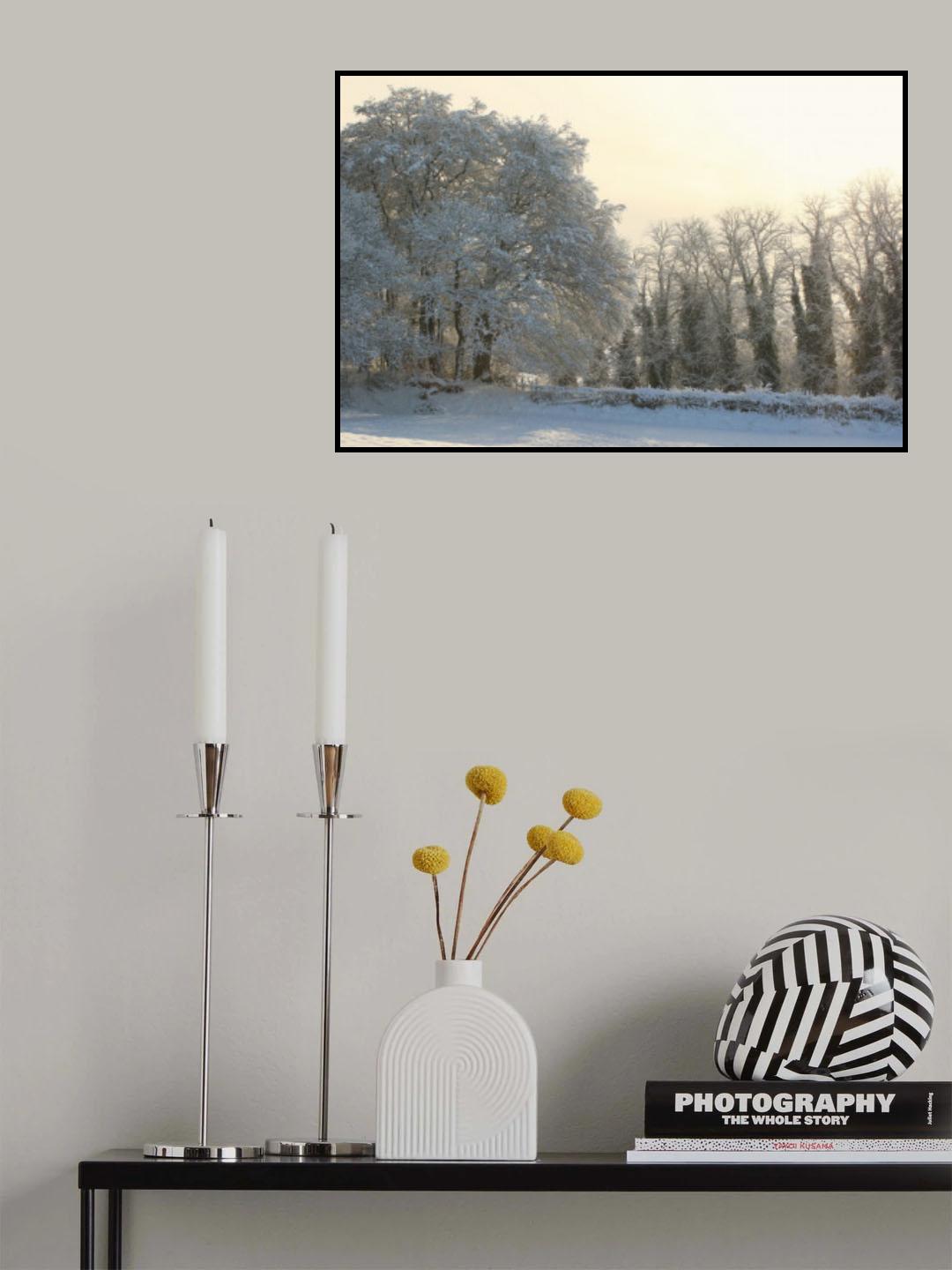 Woods in the snow Poster och Canvastavla